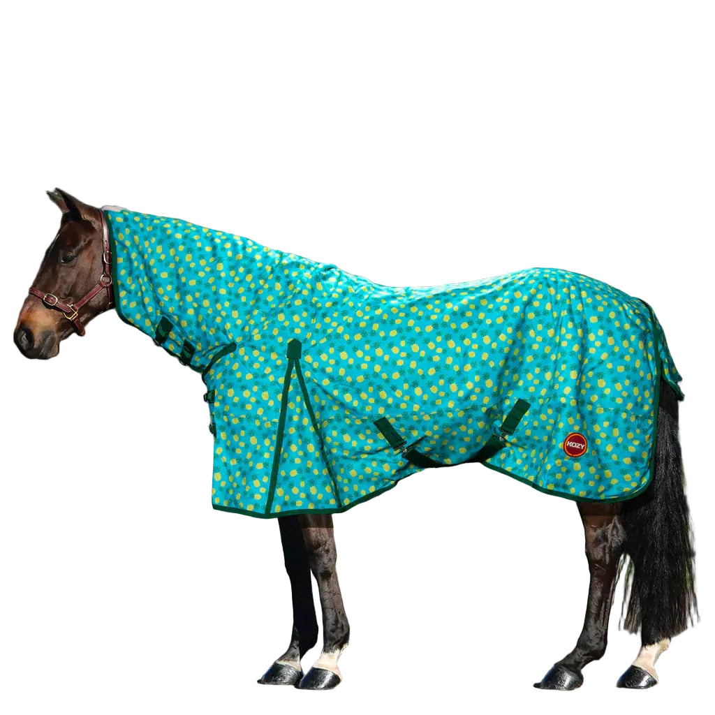 Kozy 1200D Nylon Combo Rug