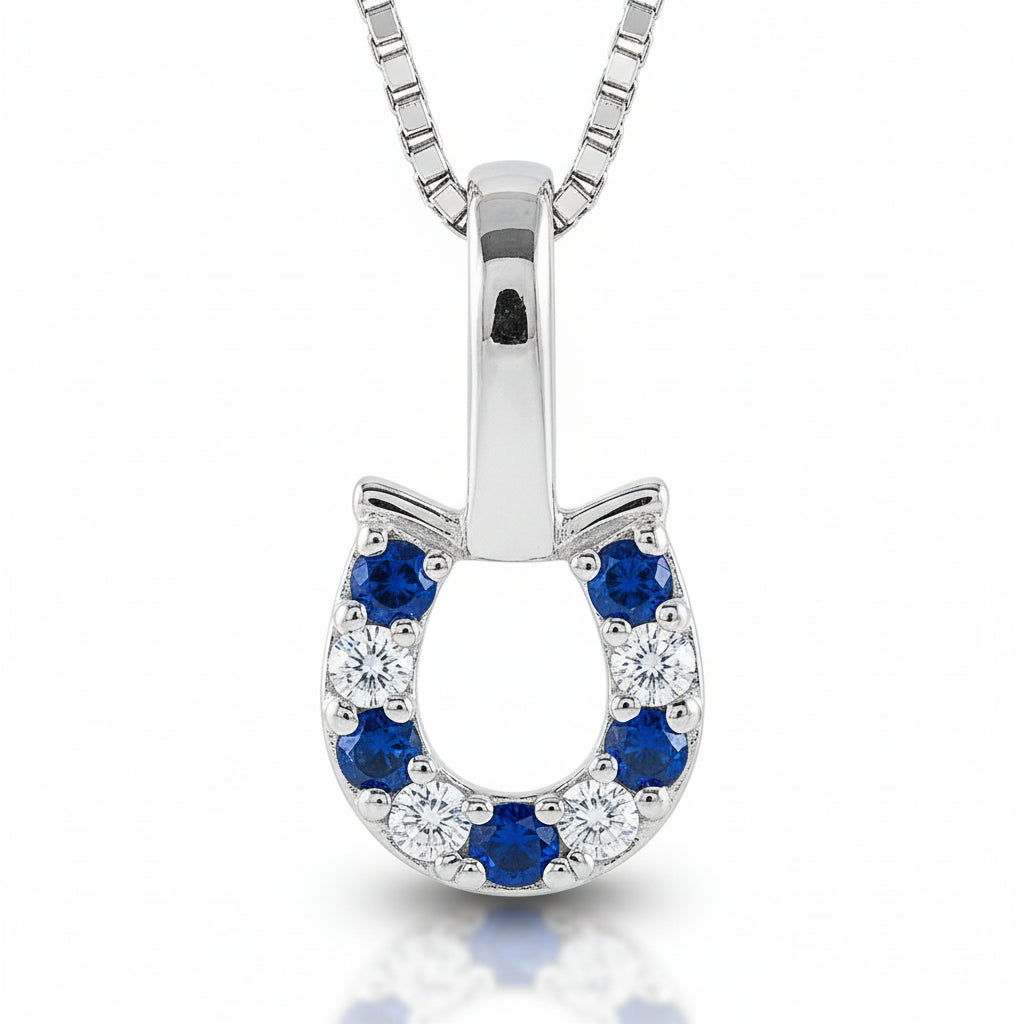 Kelly Herd Blue and Clear Horseshoe Necklace