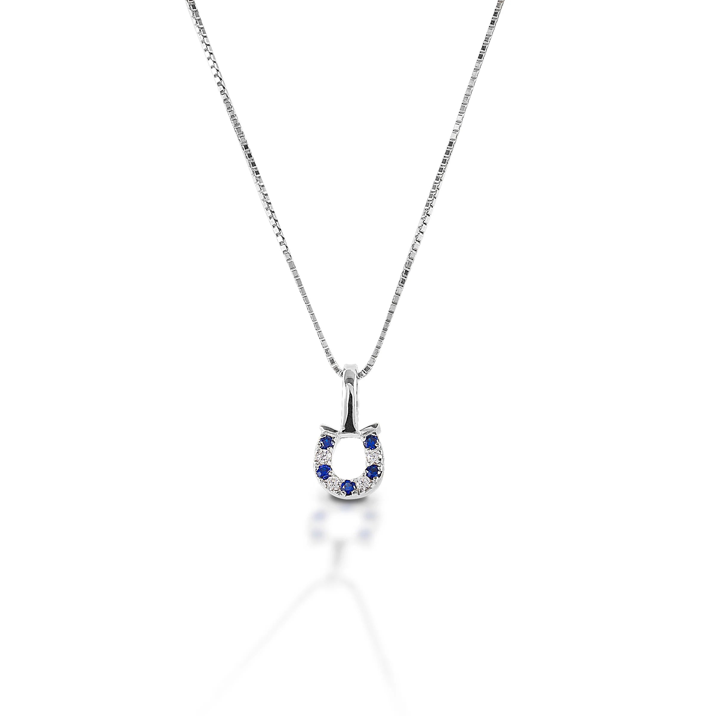 Kelly Herd Blue and Clear Horseshoe Necklace
