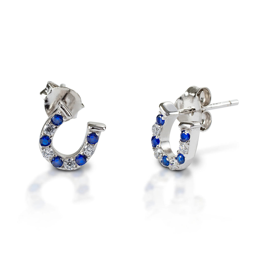 Kelly Herd Earrings Blue and Clear Horseshoe Earrings
