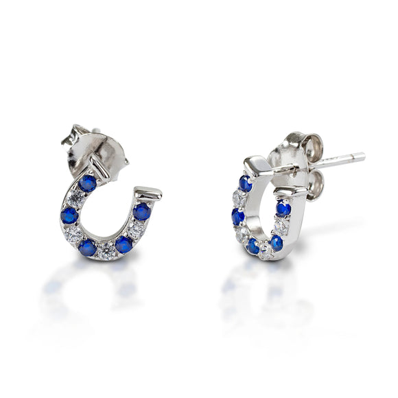 Kelly Herd Earrings Blue and Clear Horseshoe Earrings