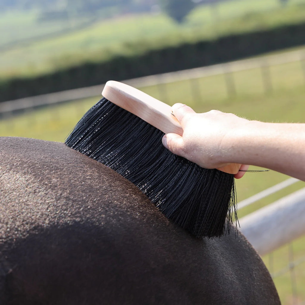 Shires EZI-GROOM Premium Long Dandy Brush Wood