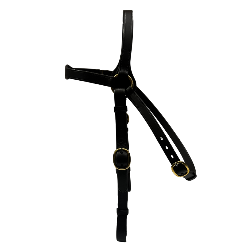 Hy Ride Economy Barcoo Bridle