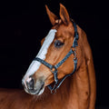 HZ Claremont Halter