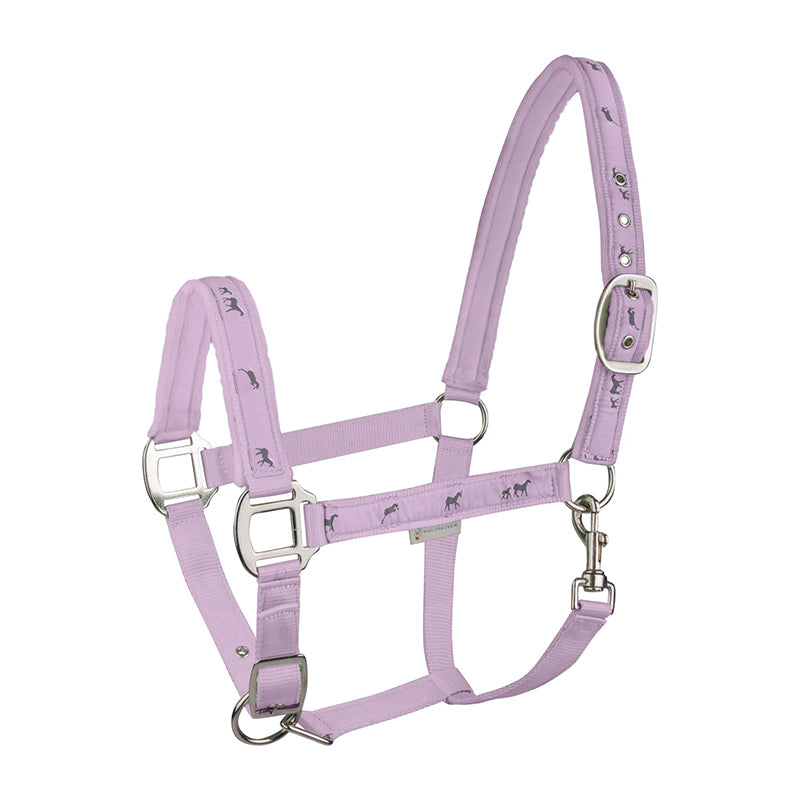 Halter Little Horses
