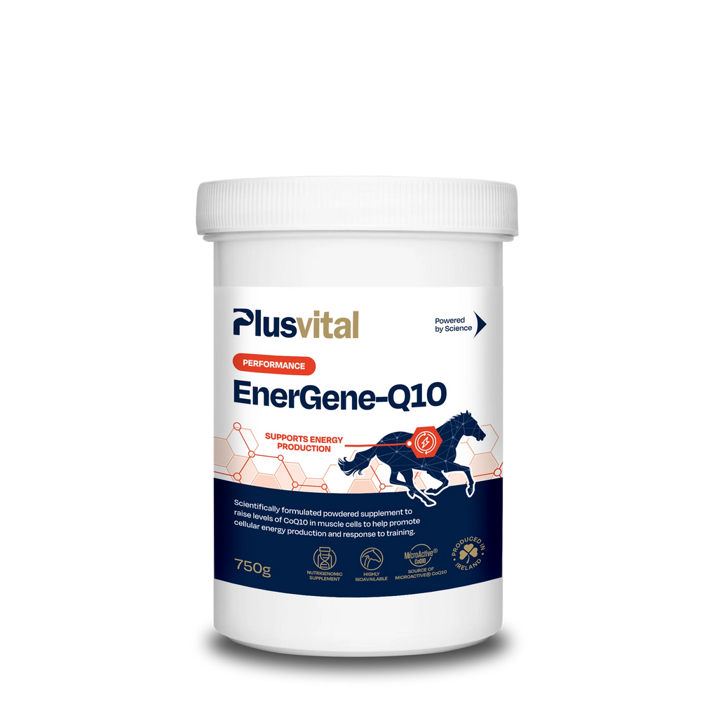 Plusvital EnerGene-Q10