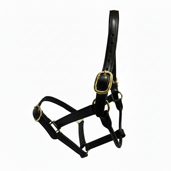 Hy Ride Italian Leather Mare Halter
