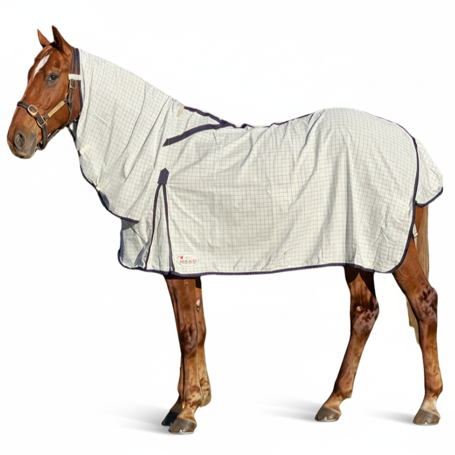 Marsh Carney Diamond Weave Combo Rug