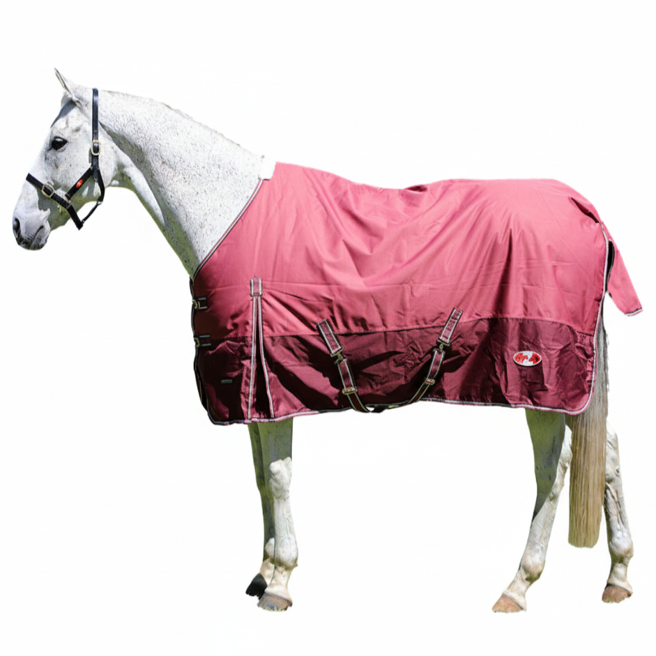 Zilco Explorer 200 Rug
