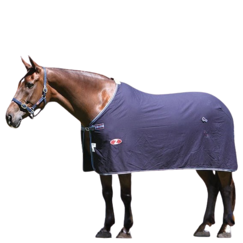 Zilco Defender Dress Cotton Rug