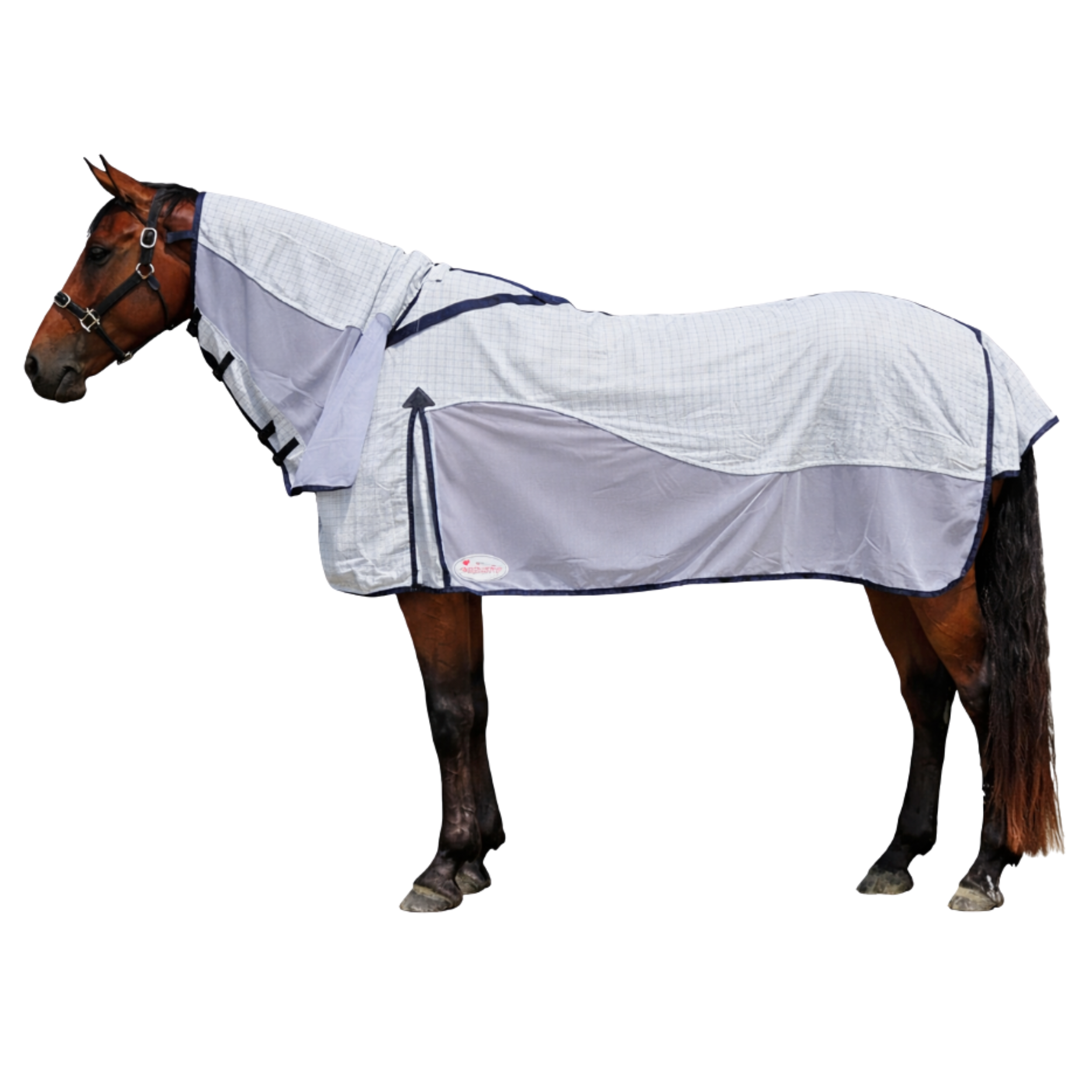 Marsh Carney Hybrid Combo Rug