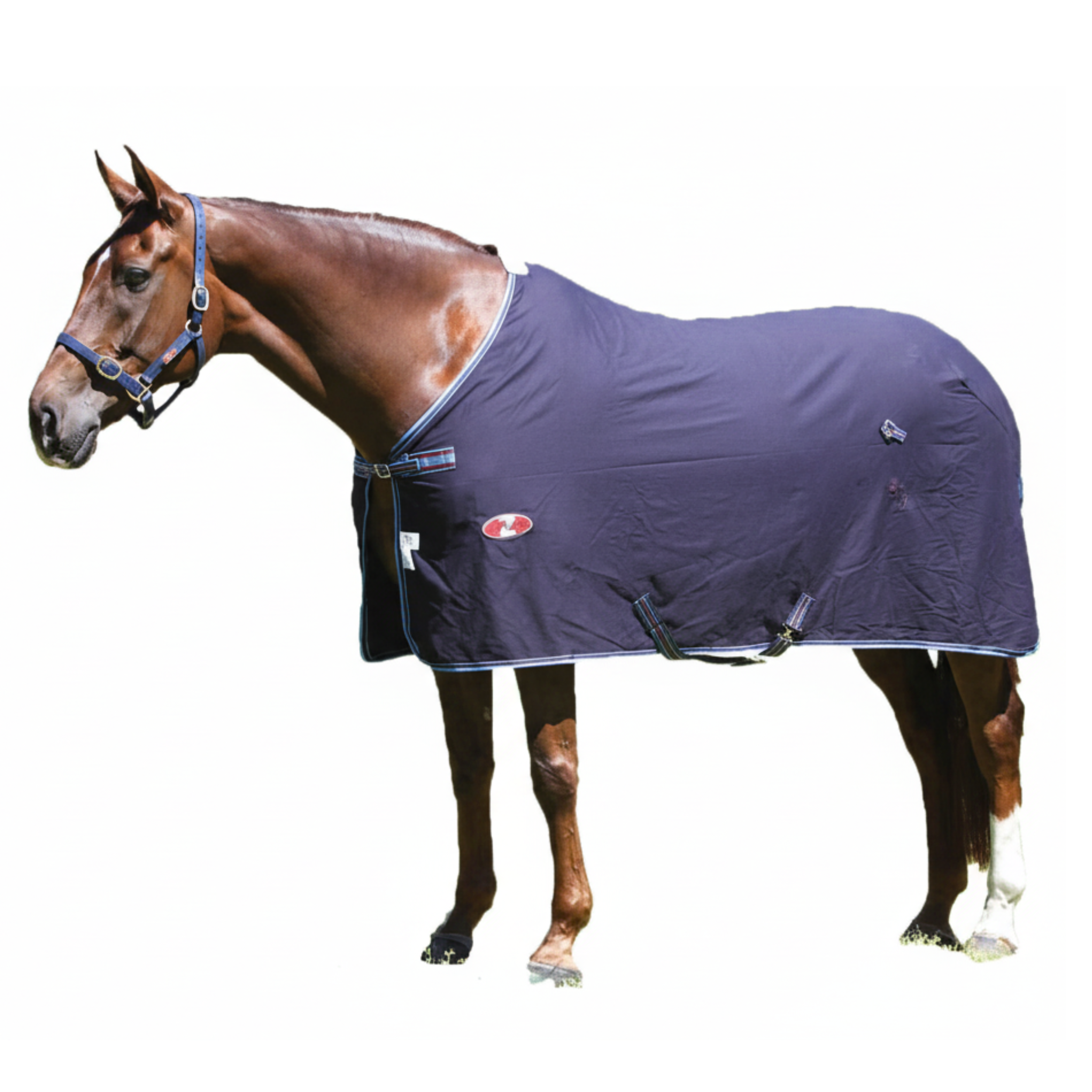 Zilco Defender Cotton Rug
