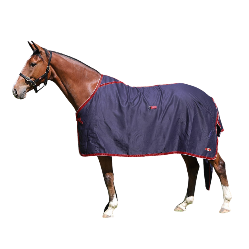 Show Circuit Cotton Rug