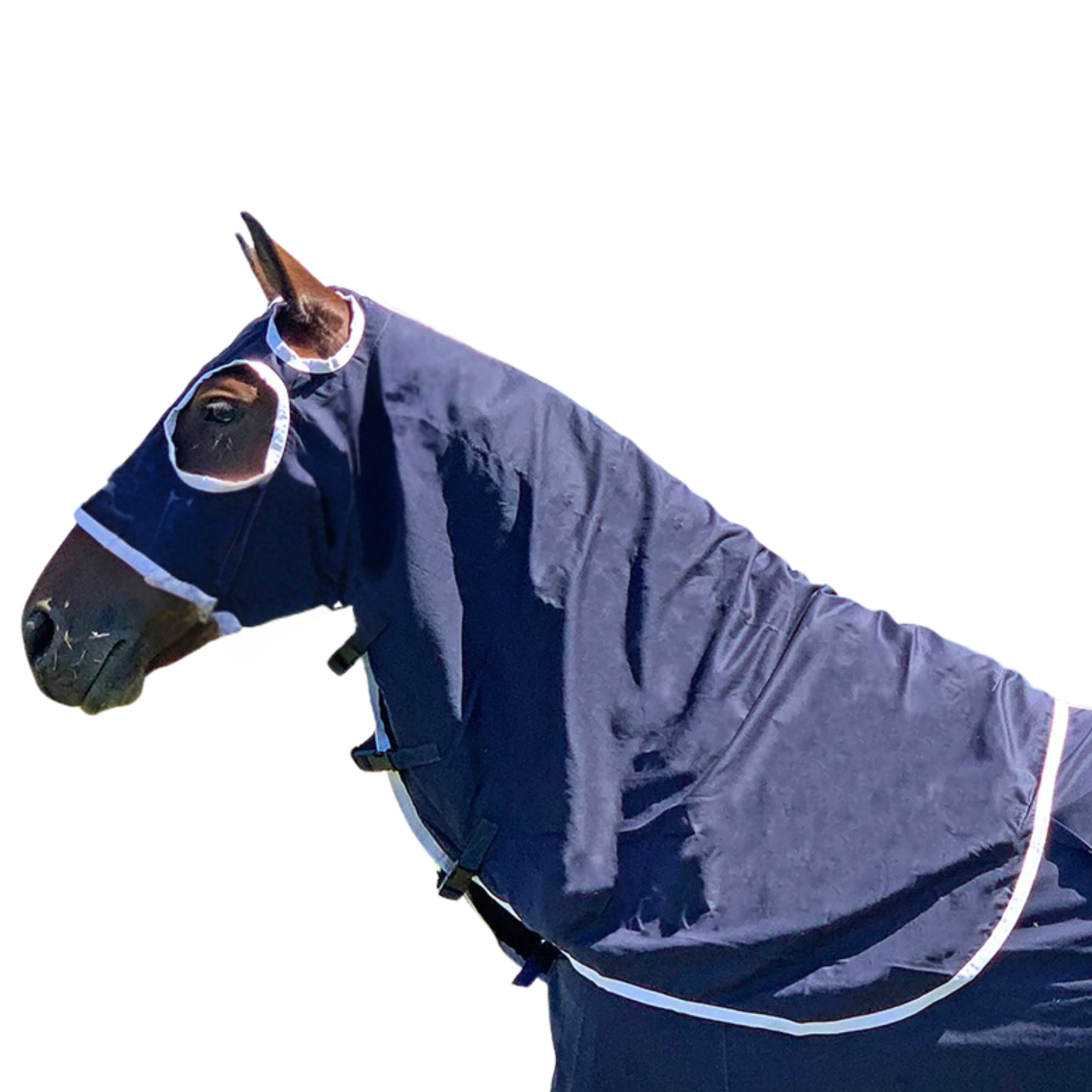 Marsh Carney Cotton Show Hood