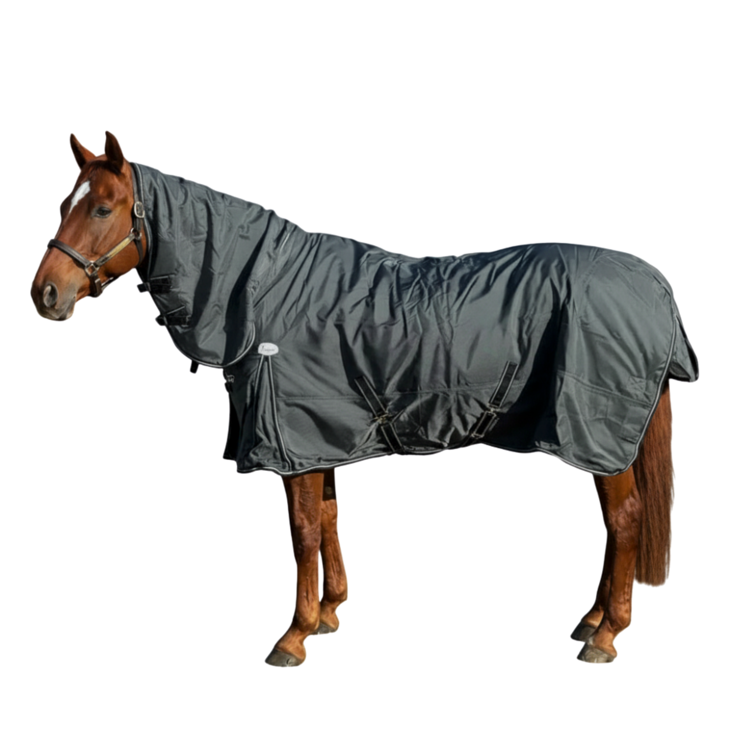 Marsh Carney 1680D Rainsheet Combo with Poly Cotton Lining