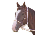 Ezy Ride Breaking Hackamore Bridle