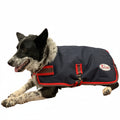 Marsh Carney 1200D 250gm Fill Dog Rug