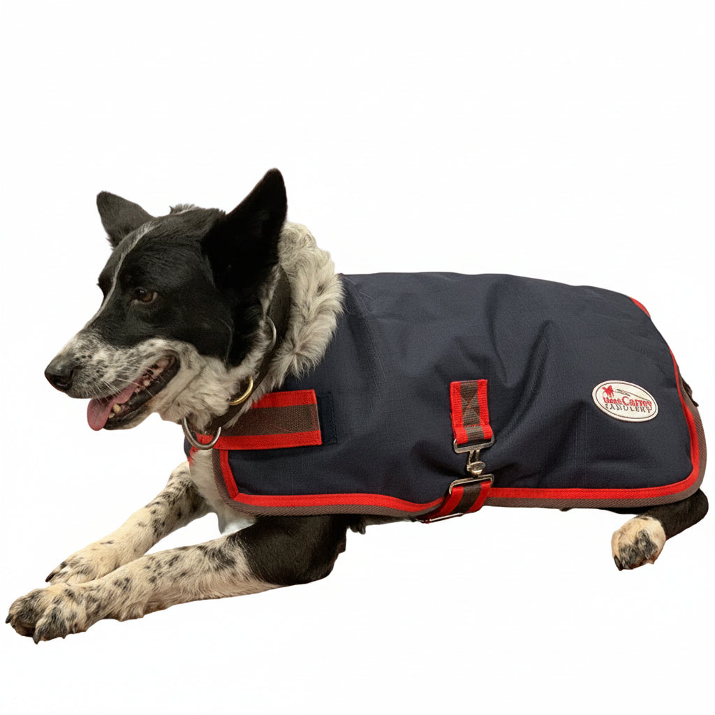 Marsh Carney 1200D 250gm Fill Dog Rug