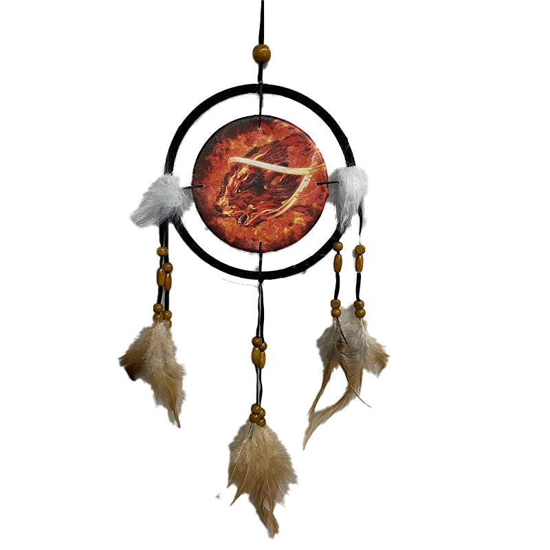 Dream Catcher