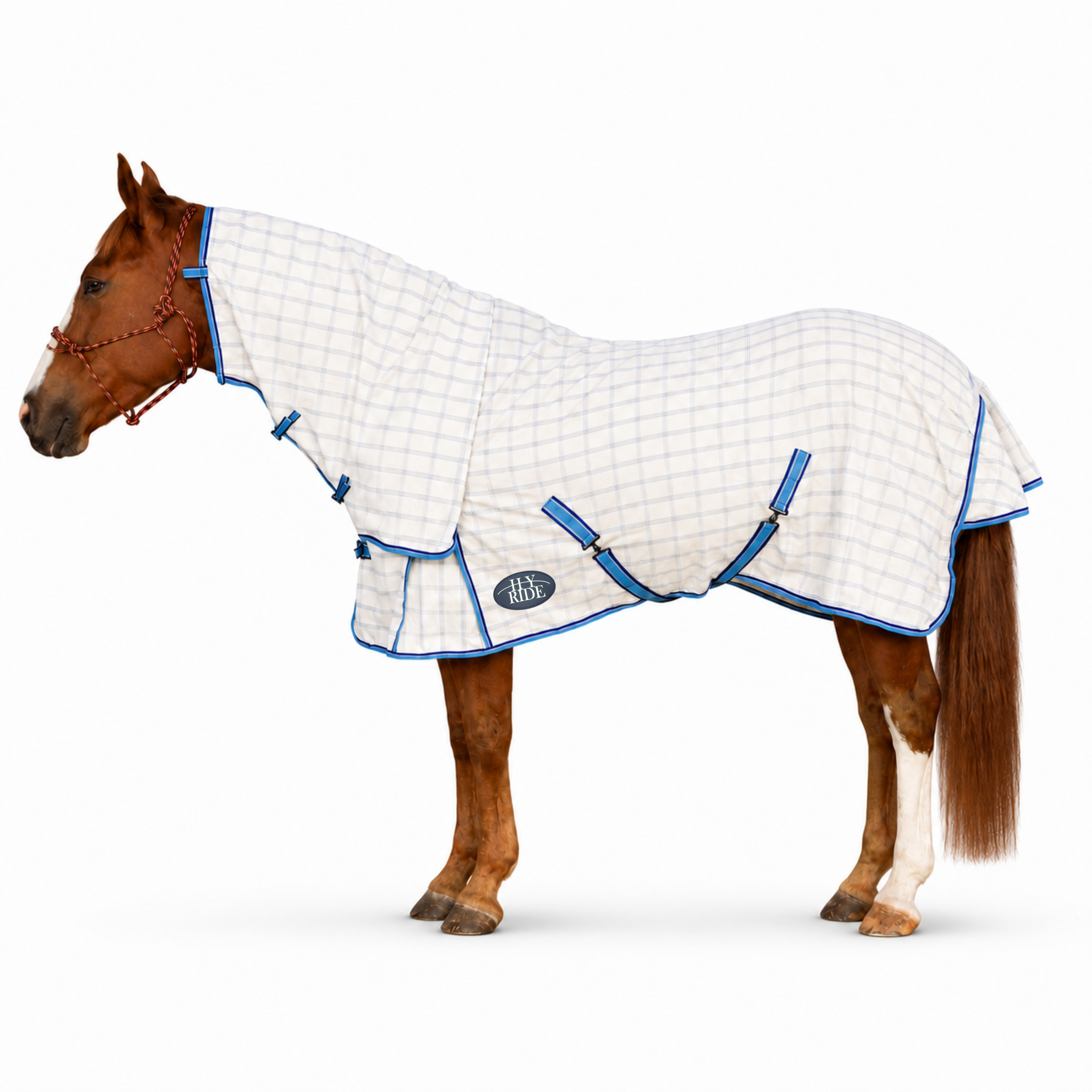 Hy Ride Cotton Combo Rug