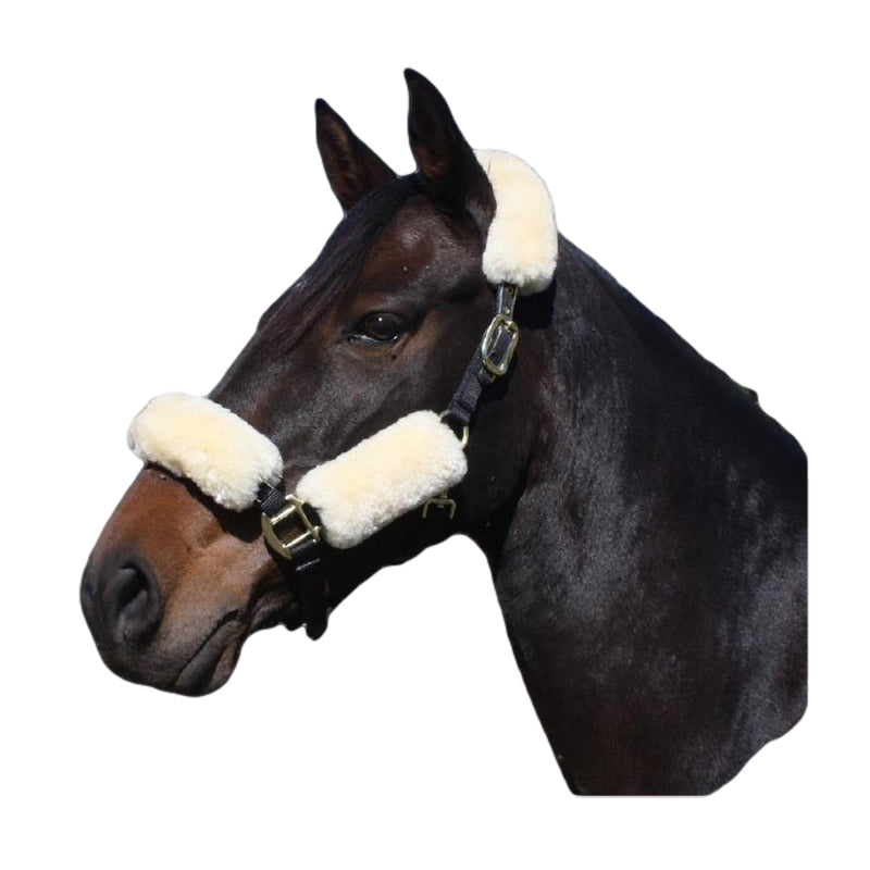 Halter Fleece 4 pc Set
