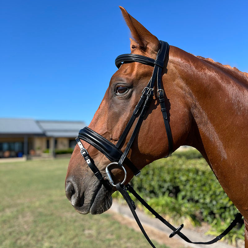 Hy Ride English Hanovarian Bridle