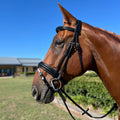 Hy Ride English Hanovarian Bridle