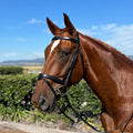 Hy Ride Hanovarian Convertible Bridle