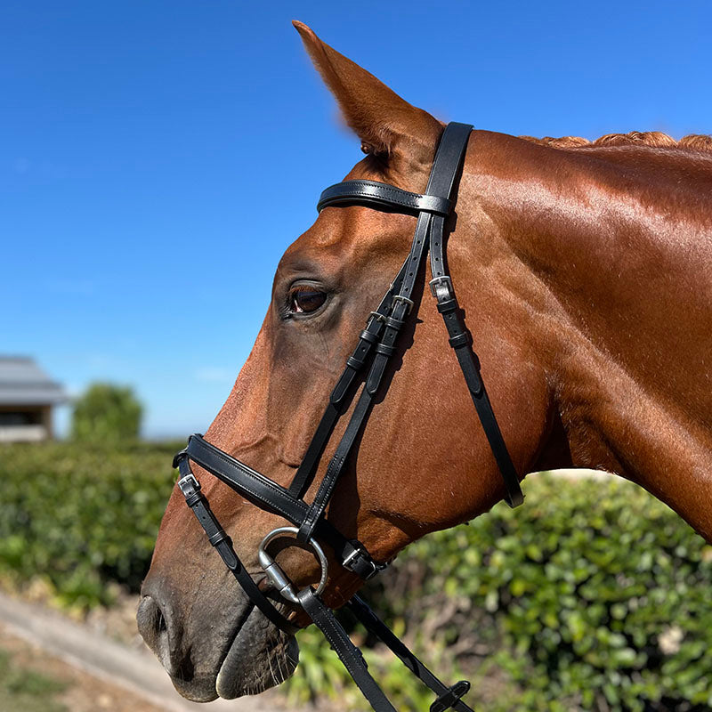 Hy Ride Hanovarian Convertible Bridle