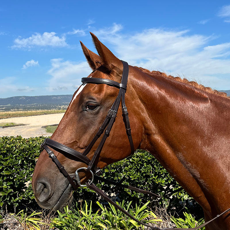 Hy Ride Hanovarian Convertible Bridle