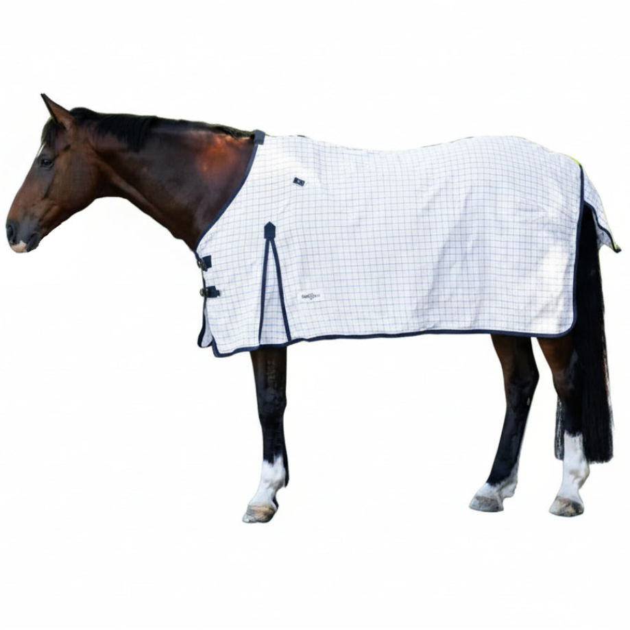 Eureka Deluxe Cotton Rug