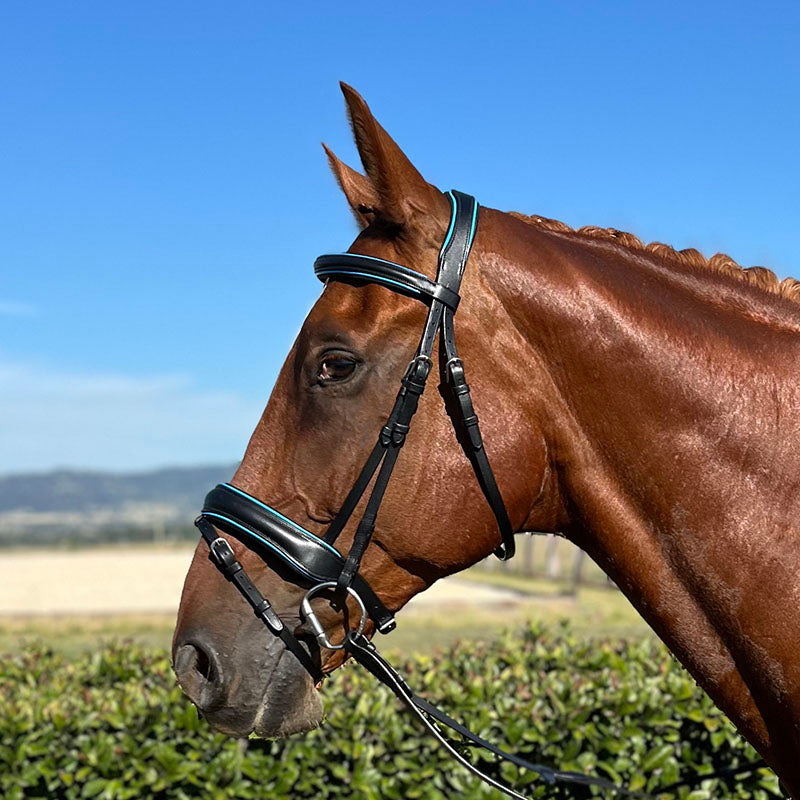 Hy Ride English Hanovarian Bridle with Blue Piping