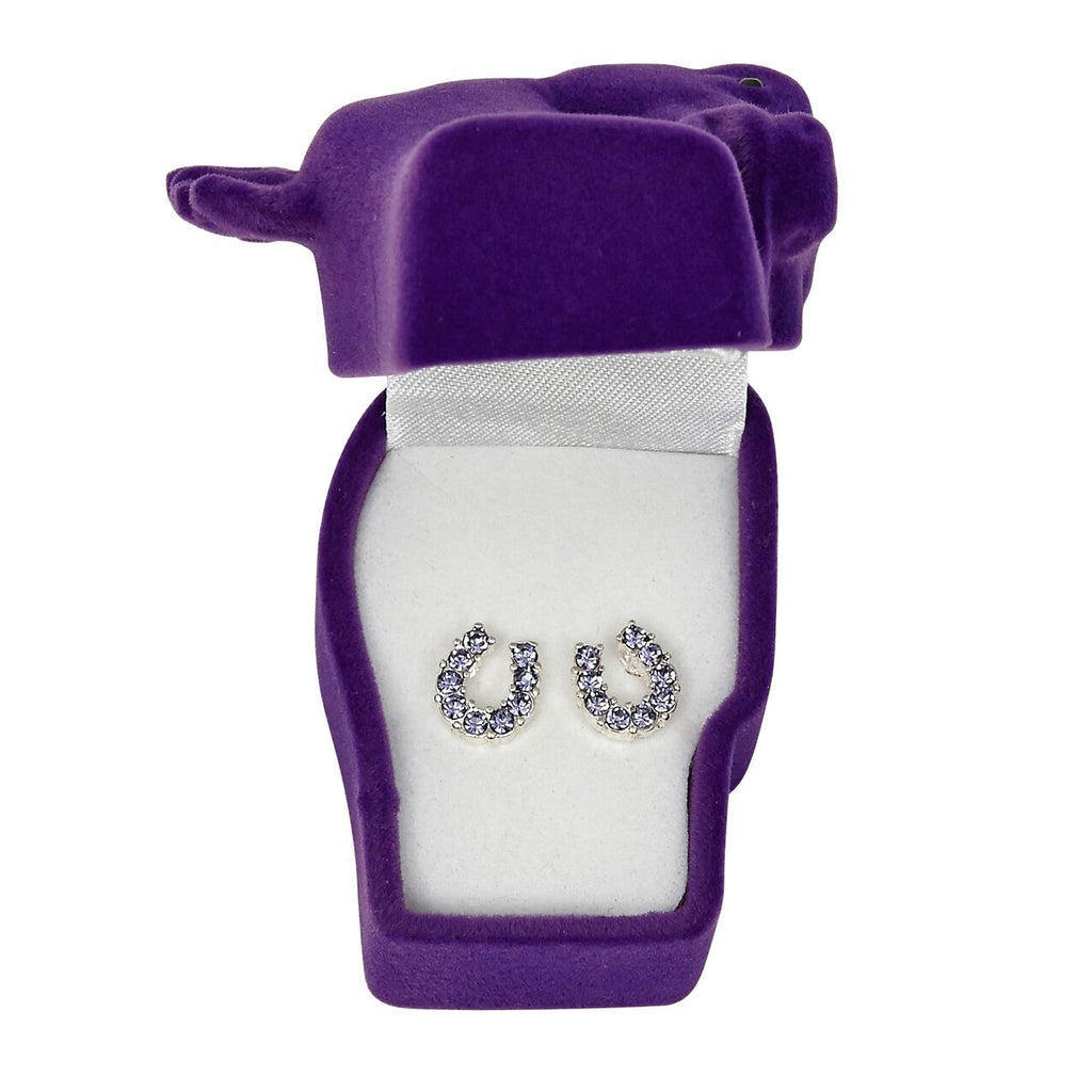Brigalow Rhinestone Horseshoe Earings w/Gift Box