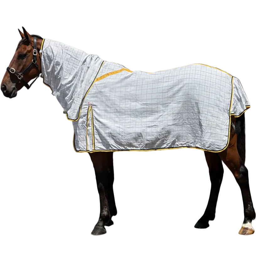 Marsh Carney Aussie Summer Combo Rug