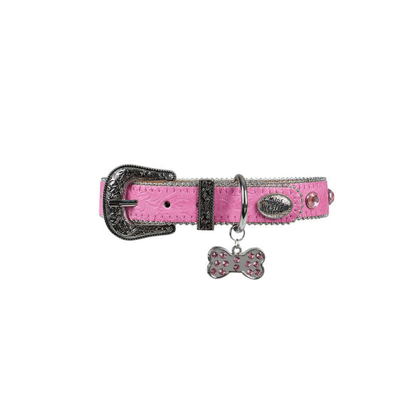 Pure Western Tilly Dog Collar