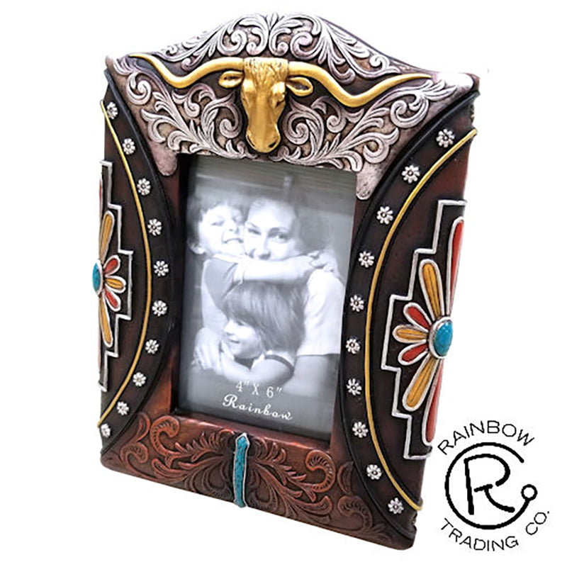 Longhorn w Silver Pattern 4x6 Frame
