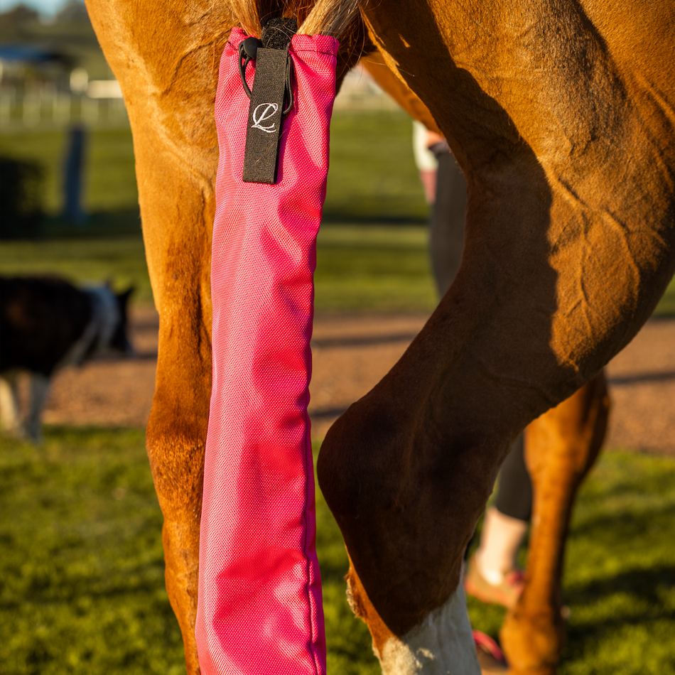 Lightning CC Tail Bag