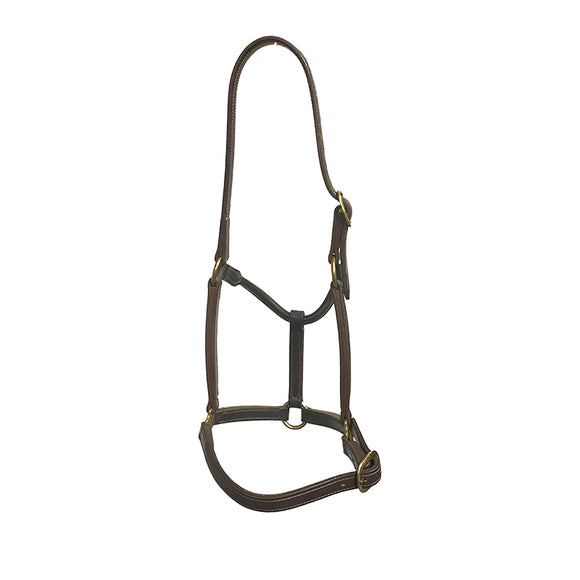 Aus Made Single Nose Head Rolled Throat Leather Halter