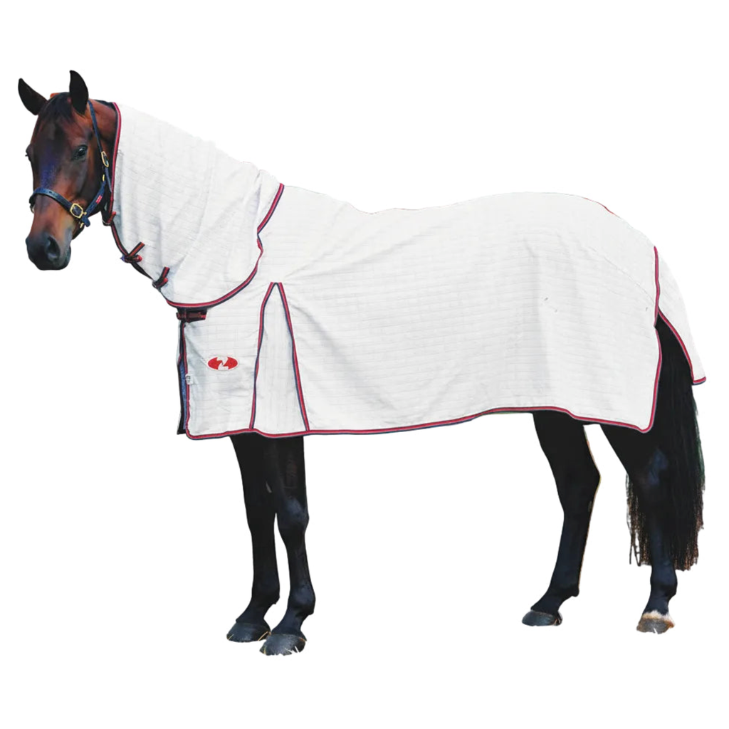 Zilco Econostop Combo Rug