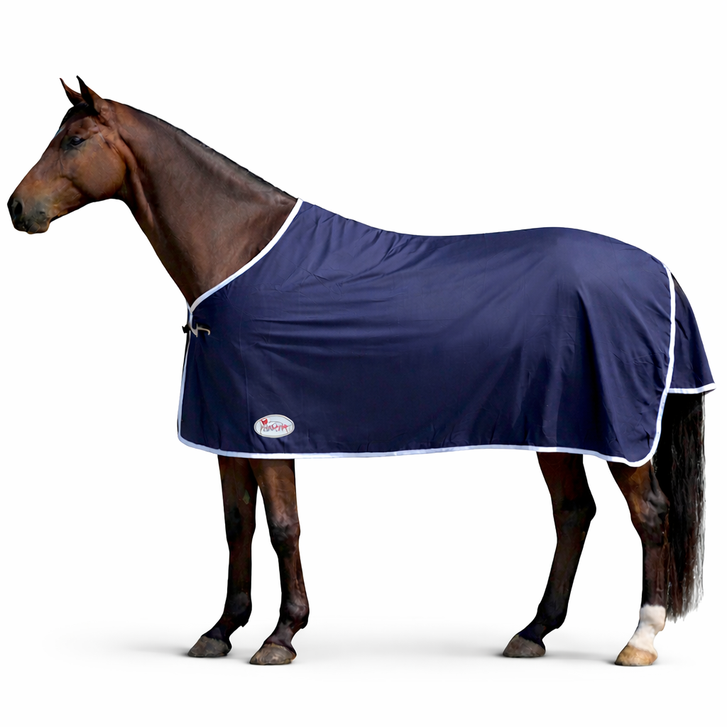 Marsh Carney Cotton Show Rug