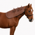 Aus Made Mare Neck Protector