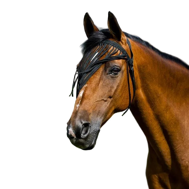 Horze Simple Fly Veil