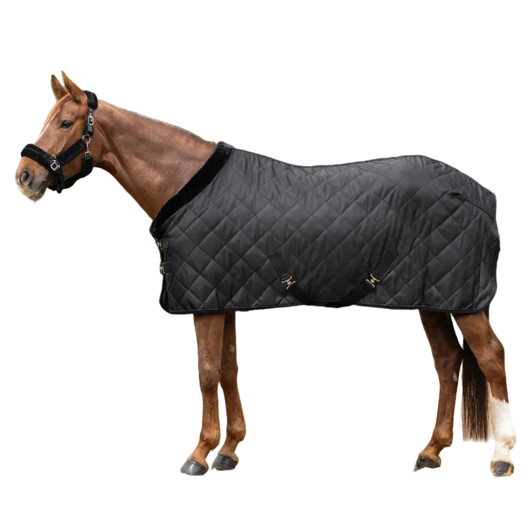 Waldhausen Exclusive Travel Rug