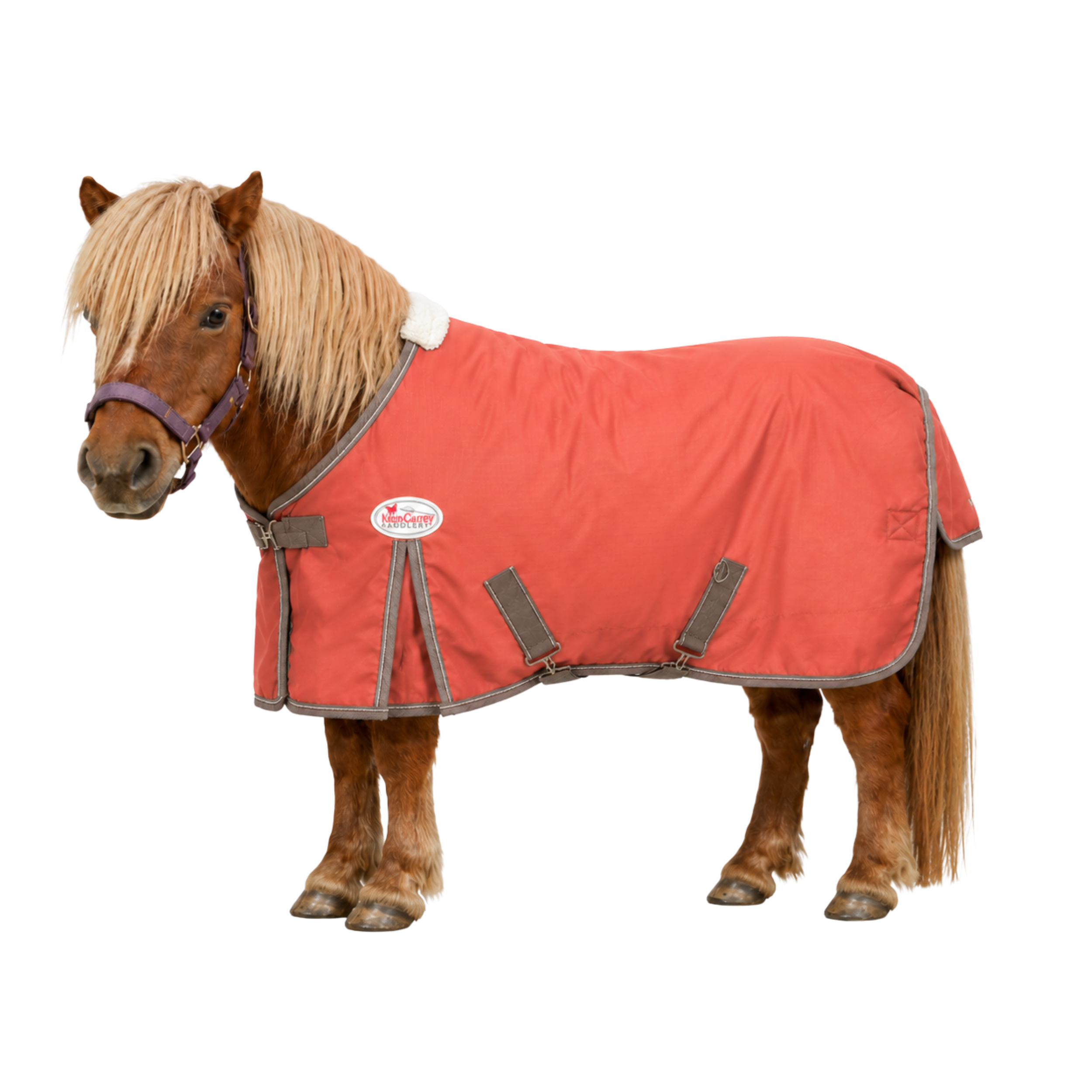 Marsh Carney Gracie Mini 600D 200gm Fill Rug