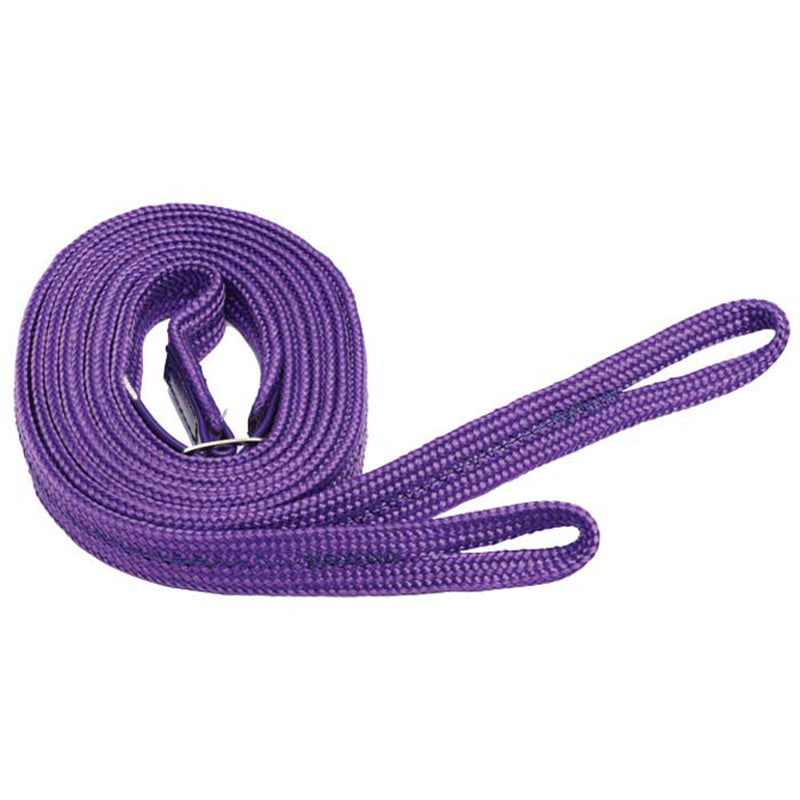 Nylon Loop Ends Reins 7/8in