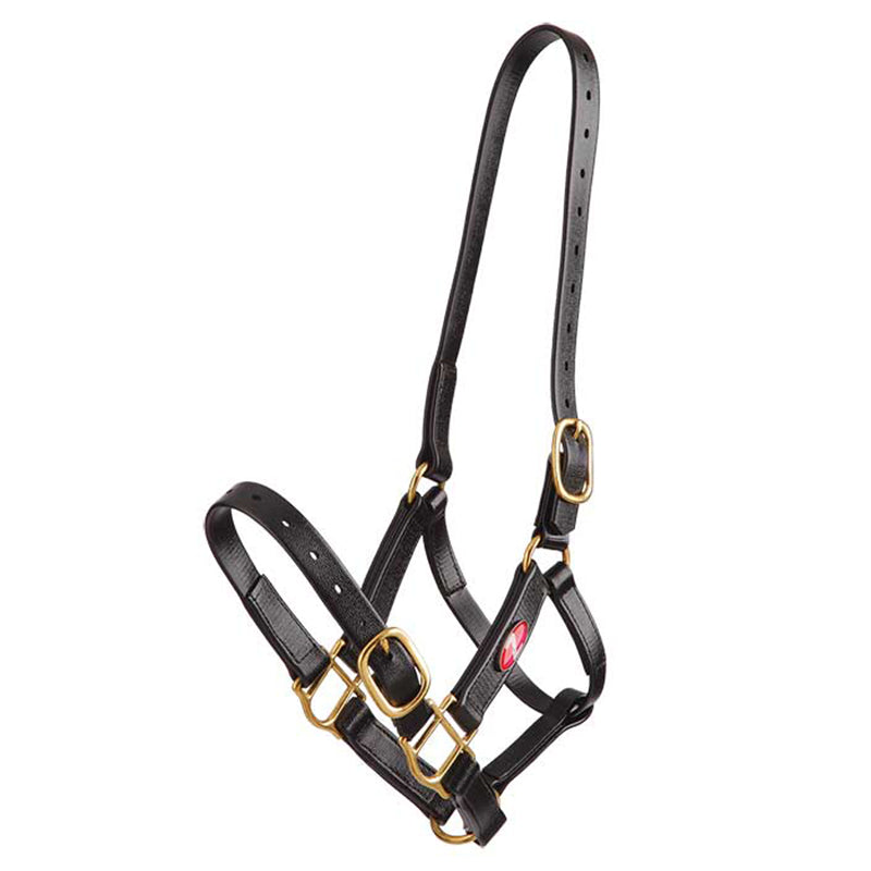 Zilco PN 25mm Brass Halter
