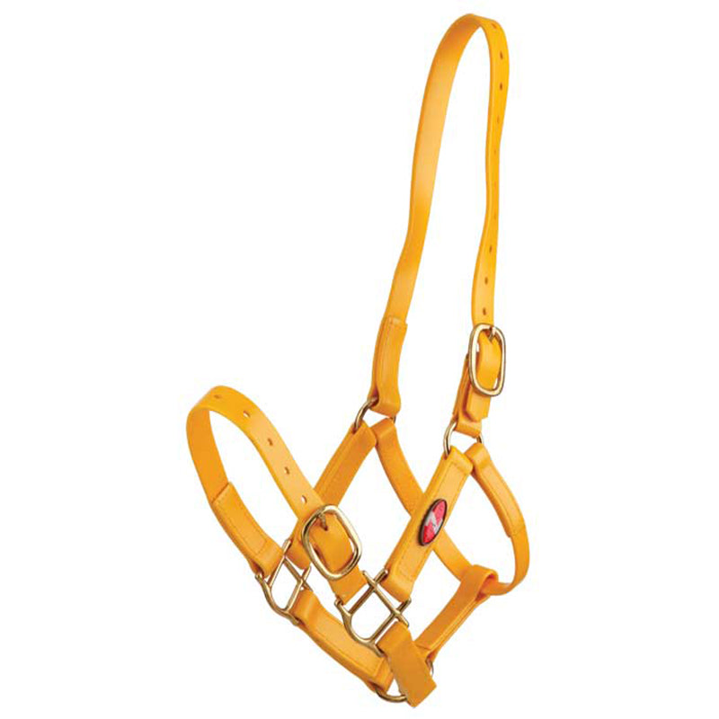 Zilco PN 25mm Brass Halter