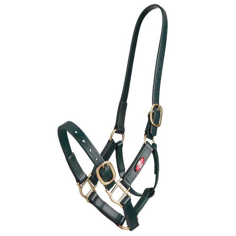 Zilco PN 25mm Brass Halter