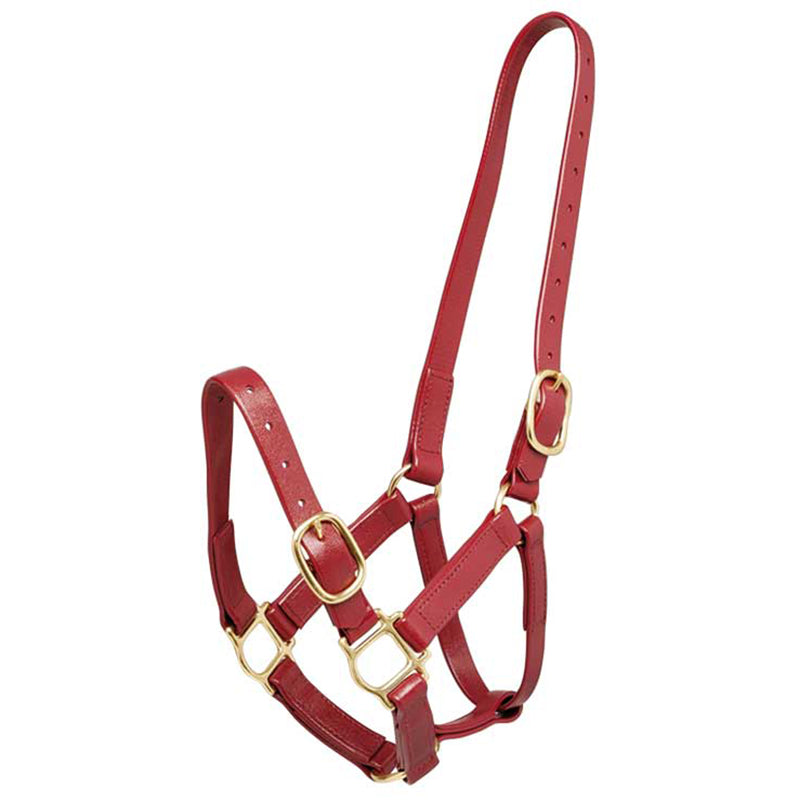Zilco PN 25mm Brass Halter