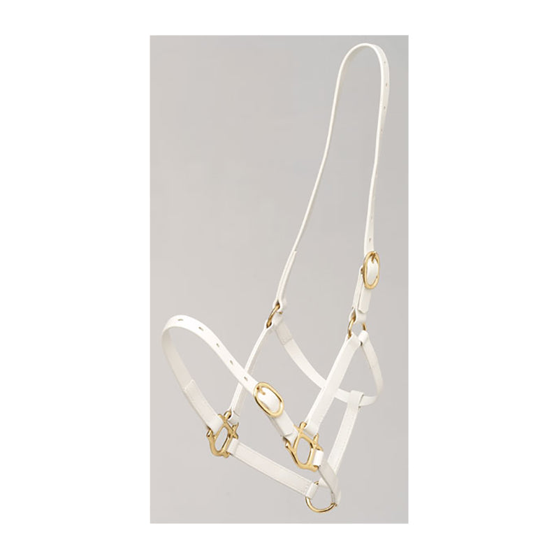 Zilco PN 25mm Brass Halter